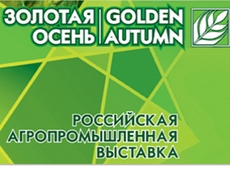 Выставка «Золотая осень»