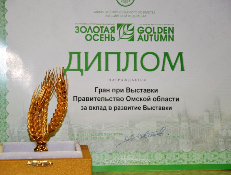 Диплом Гран-при Омской области